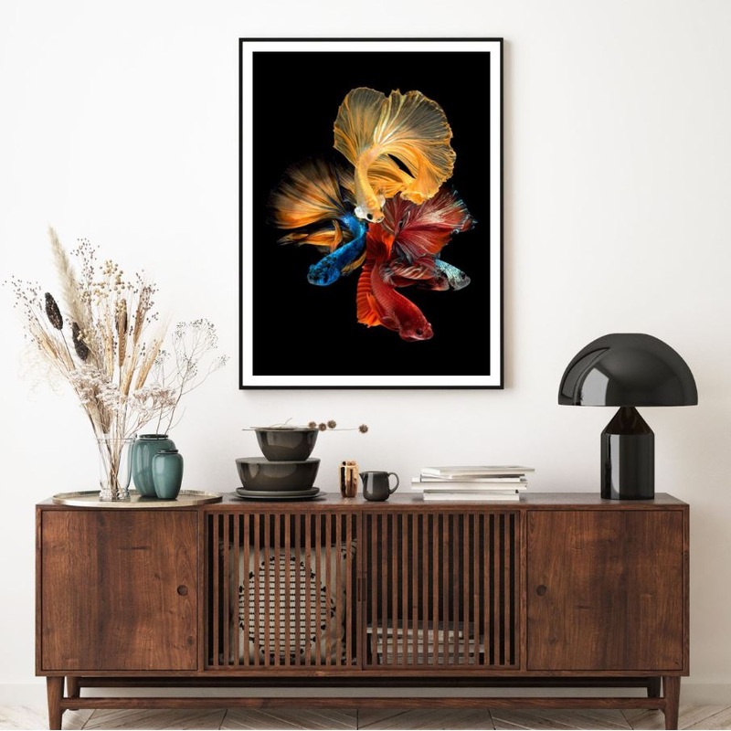 Colorful Fighter Fish Photograph Home Decor Premium Quality Poster Print Choose Your Sizes