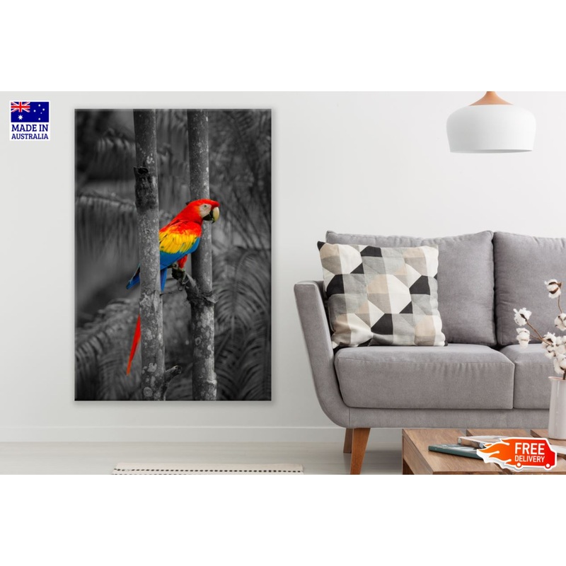 Colorful Parrot in B&W Forest Print 100% Australian Made
