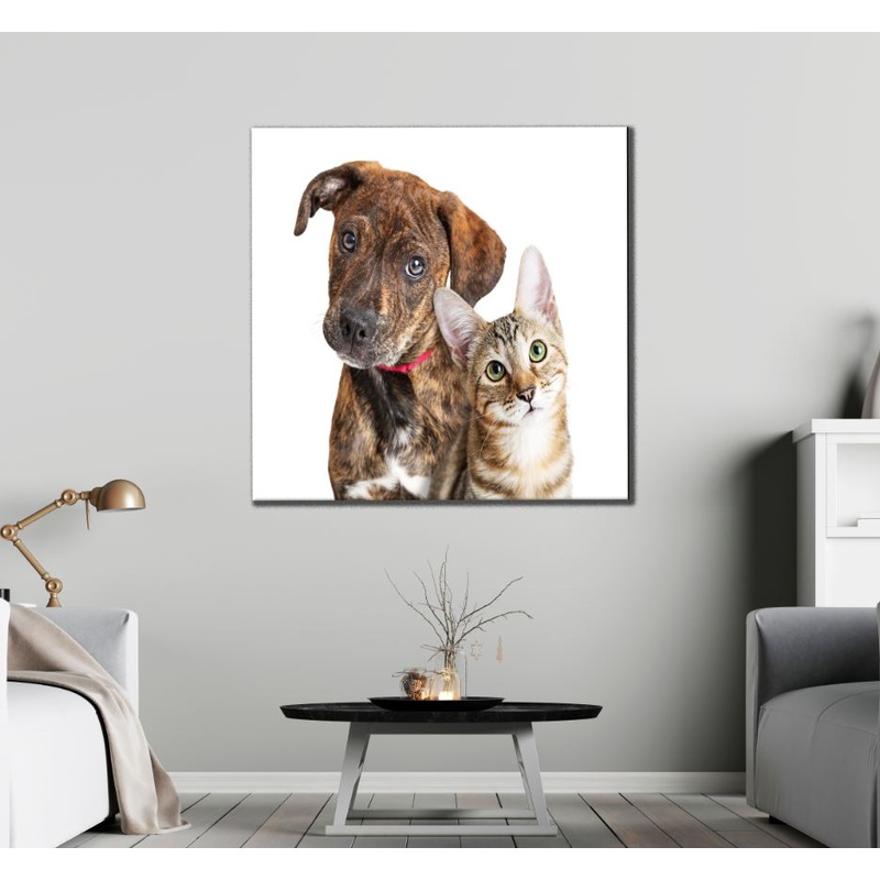Square Canvas Dog & Cat Portrait Photograph High Quality Print 100% Australian Made
