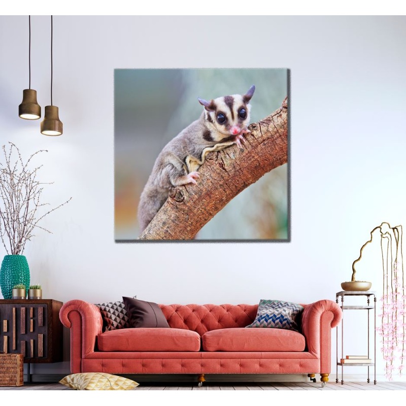 Square Canvas Sugar Glider on a Tree View High Quality Print 100% Australian Made