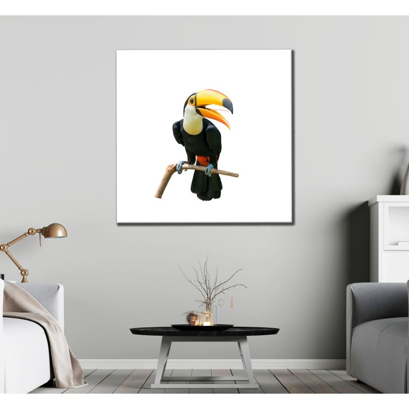 Square Canvas Toucan Bird on Tree View High Quality Print 100% Australian Made