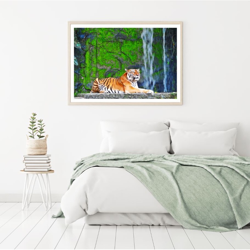 Tiger in Zoo Closeup Photograph Home Decor Premium Quality Poster Print Choose Your Sizes