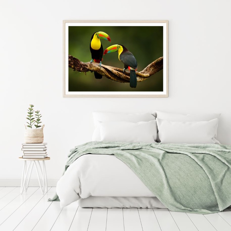 Toucan Bird on Tree Photograph Home Decor Premium Quality Poster Print Choose Your Sizes