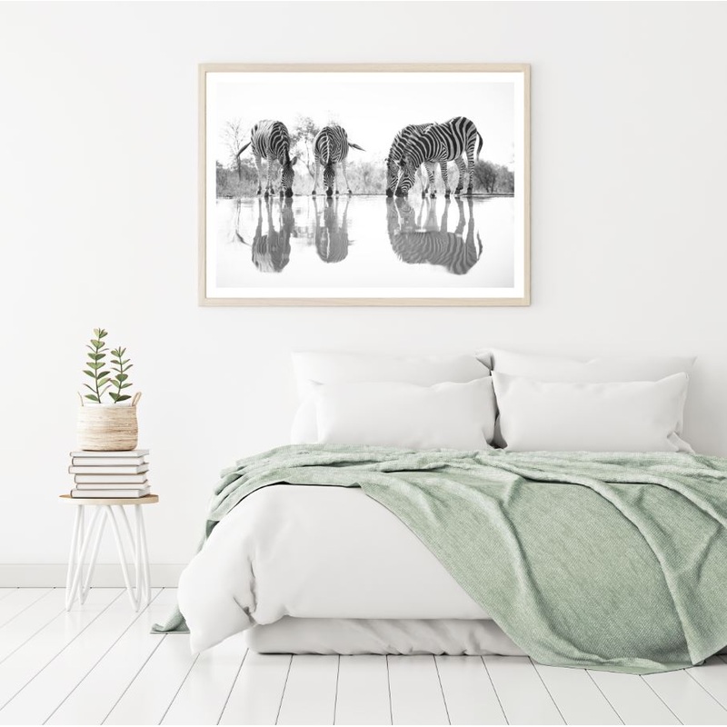 Zebras Near Lake B&W Photograph Home Decor Premium Quality Poster Print Choose Your Sizes