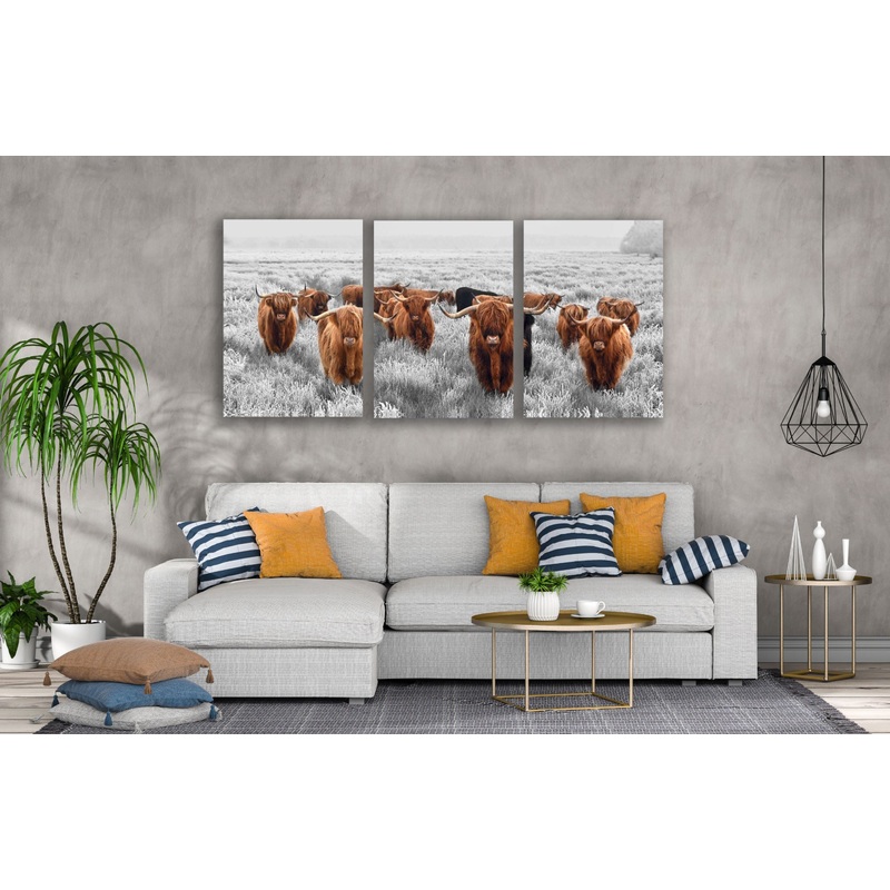 3 Set of Highland Cow Herd on Meadow Photograph High Quality Print 100% Australian Made Wall Canvas Ready to Hang