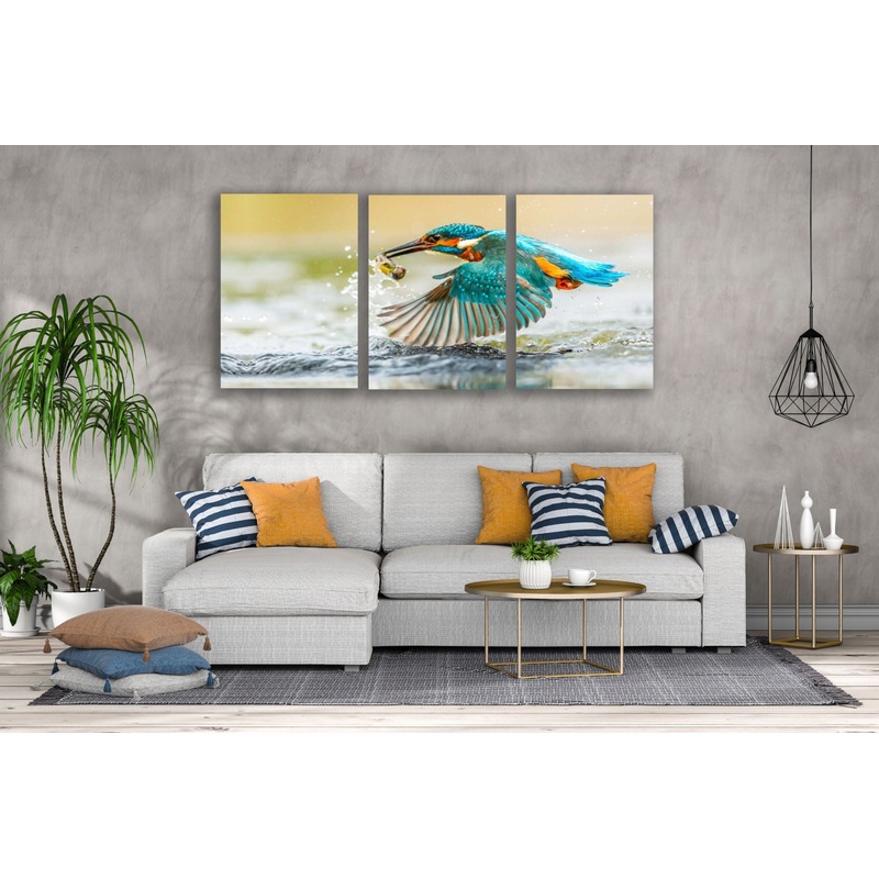 3 Set of Kingfisher Bird Hunting a Fish Photograph High Quality Print 100% Australian Made Wall Canvas Ready to Hang