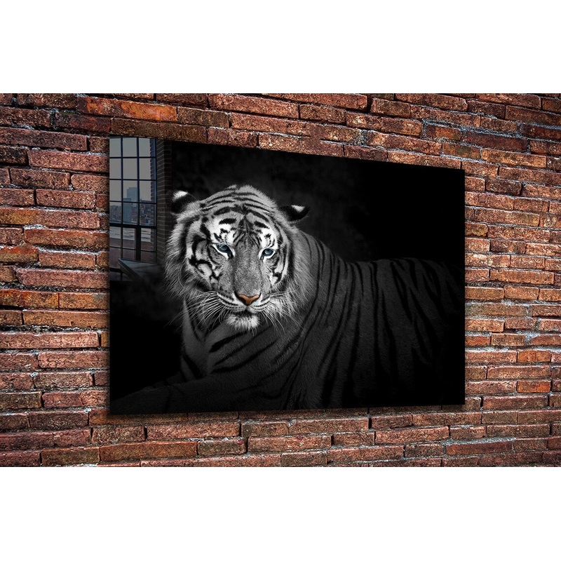 B&W Tiger Closeup View Print Tempered Glass Wall Art 100% Made in Australia Ready to Hang