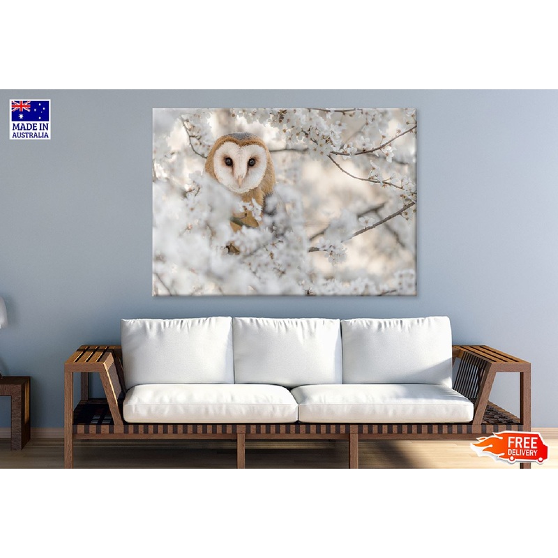 Barn Owl Wrapped by Flowers View Photograph Print 100% Australian Made