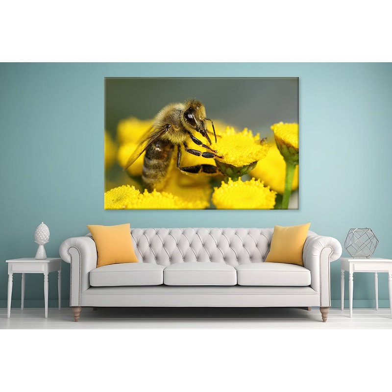 Bee on yellow Flower Wall Art Decor 100% Australian Made