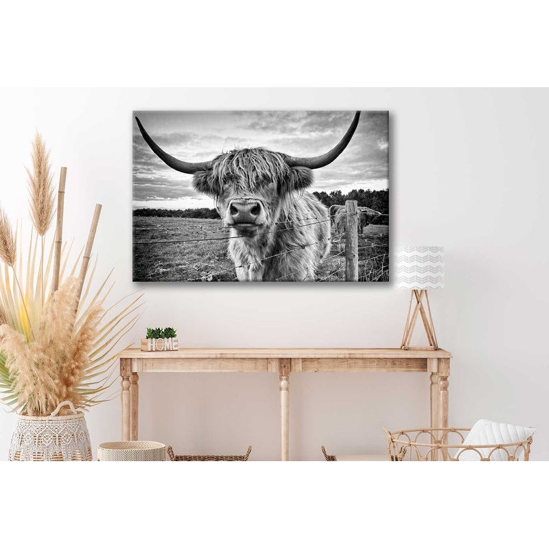 Bella Home Highland Cow B&W Photograph Print Canvas Ready to hang