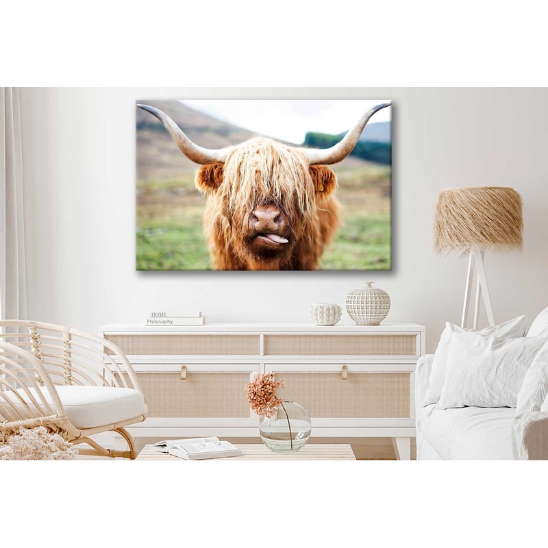 Bella Home Highland Cow Face Closeup Print Canvas Ready to hang