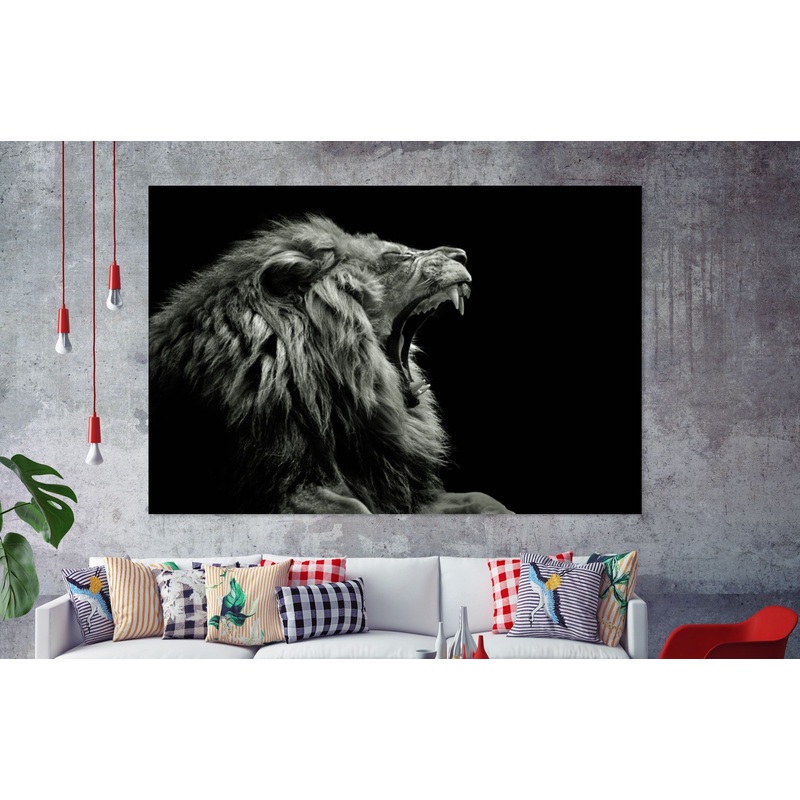 Black and white Lion Stunning Print 100% Australian Made
