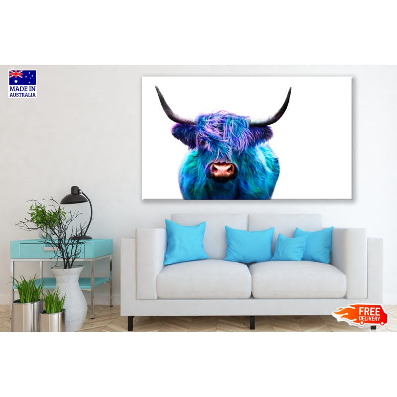 Blue Purple Highland Cow Photograph Print 100% Australian Made
