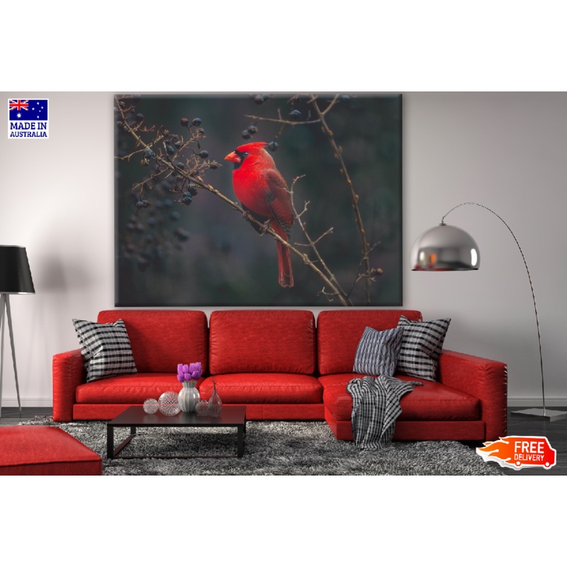 Cardinal Bird on a Tree Photograph Print 100% Australian Made