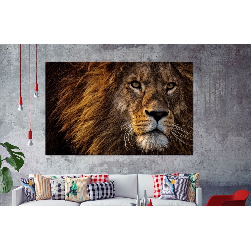 Close up  Lion  AnimalPrint 100% Australian Made