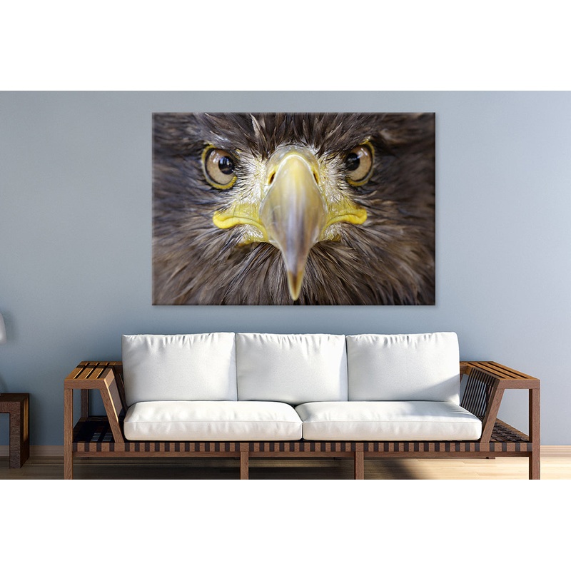 Sea Eagle Portrait Wall Art Decor 100% Australian Made