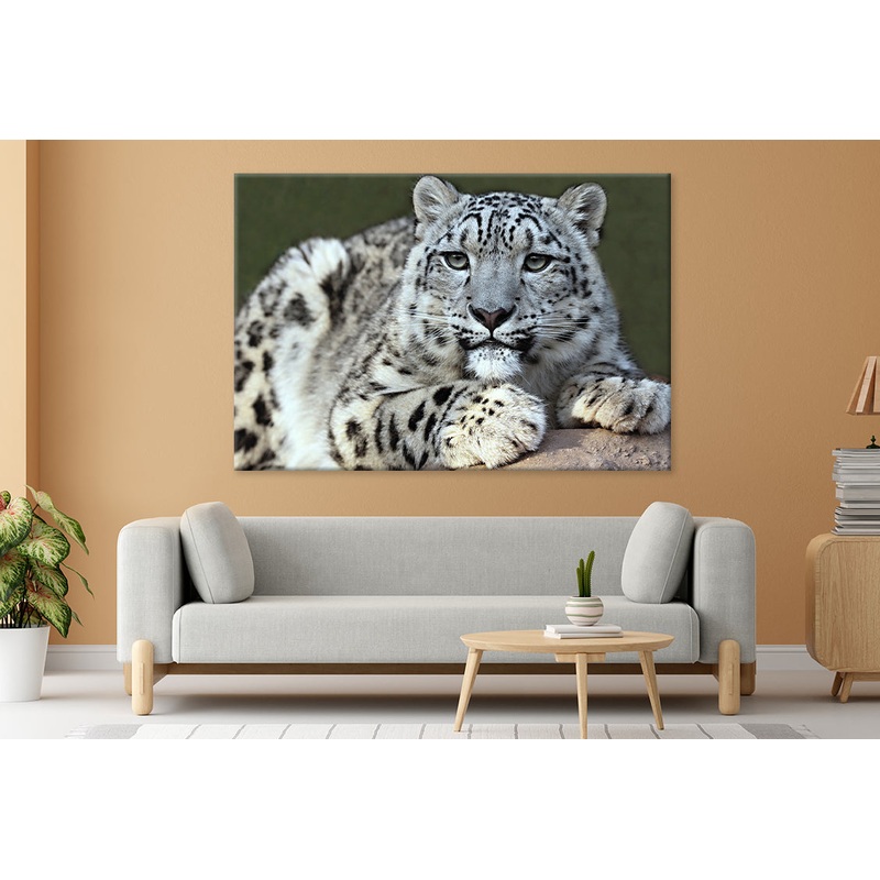 Snow leopard's portrait Wall Art Decor 100% Australian Made