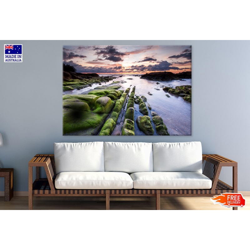 Trees With Rock Mountain & Sea View  Print 100% Australian Made