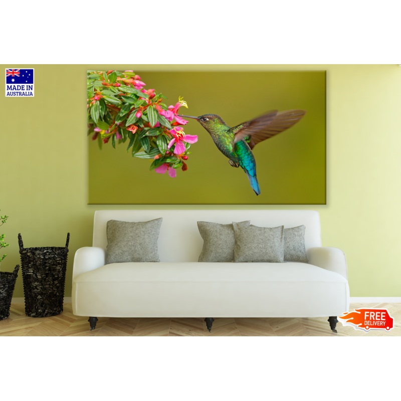 Tropical Hibiscus Flowers and Humming Bird Print 100% Australian Made