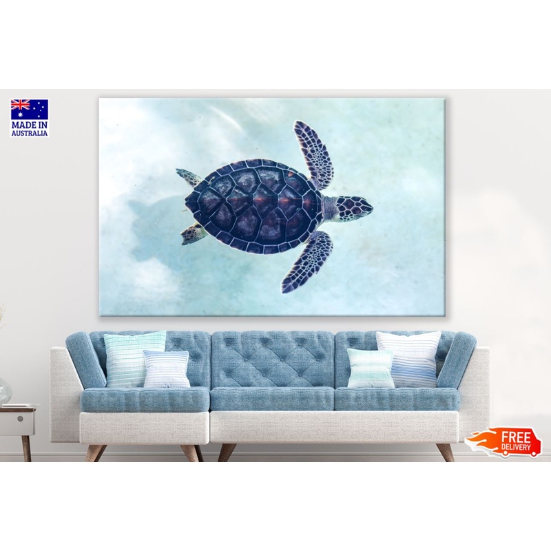 Turtle Closeup Photograph Print 100% Australian Made