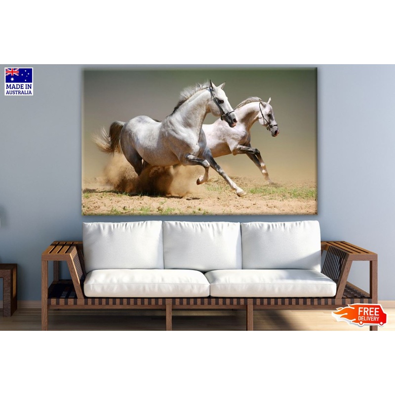 Two White Horses Running Photograph Print 100% Australian Made