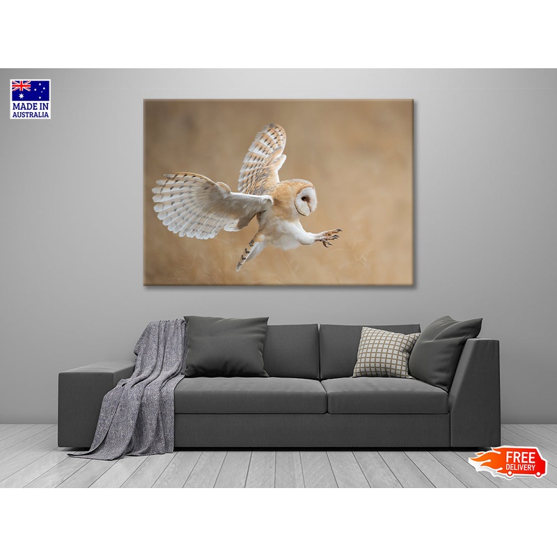 White & Beige Barn Owl Flying Print 100% Australian Made