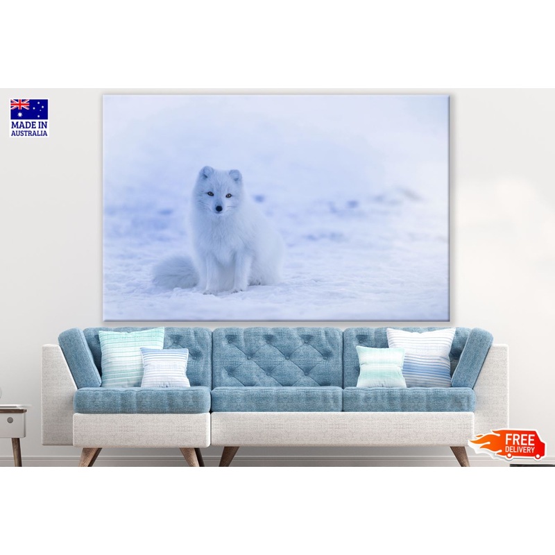 White Puppy on Snow Photograph Print 100% Australian Made