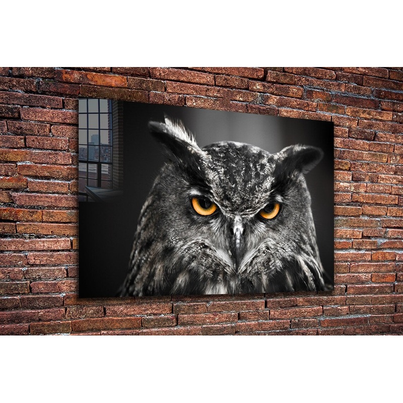 Yellow Eyes Owl B&W Print Tempered Glass Wall Art 100% Made in Australia Ready to Hang