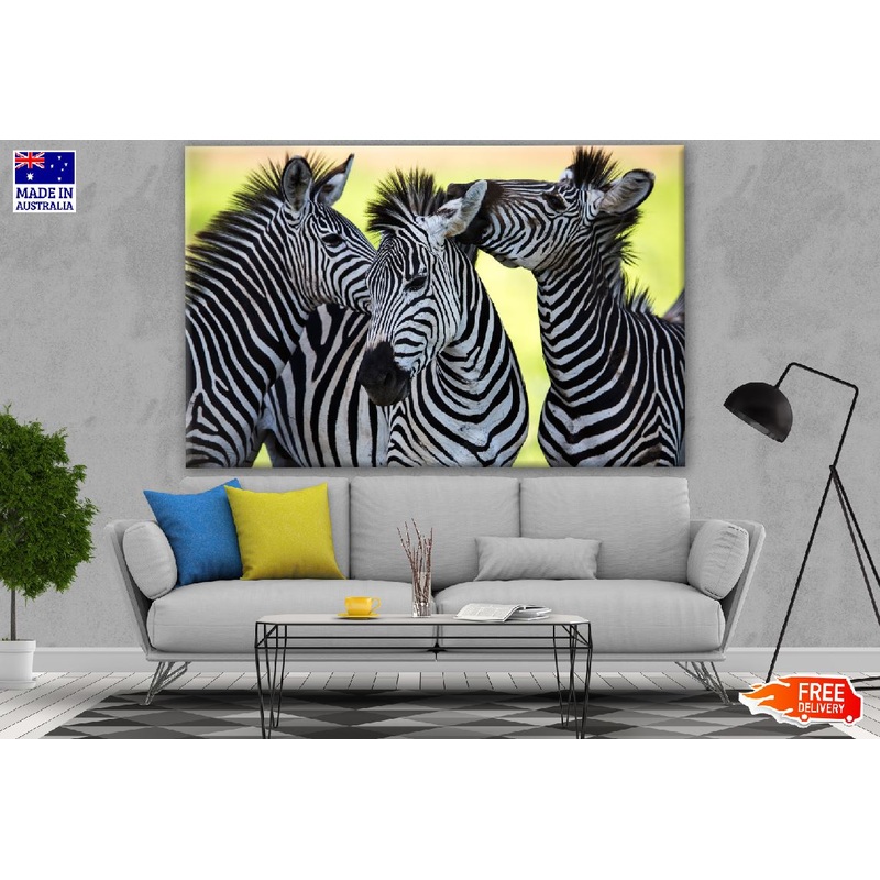 Zebras Photograph Print 100% Australian Made