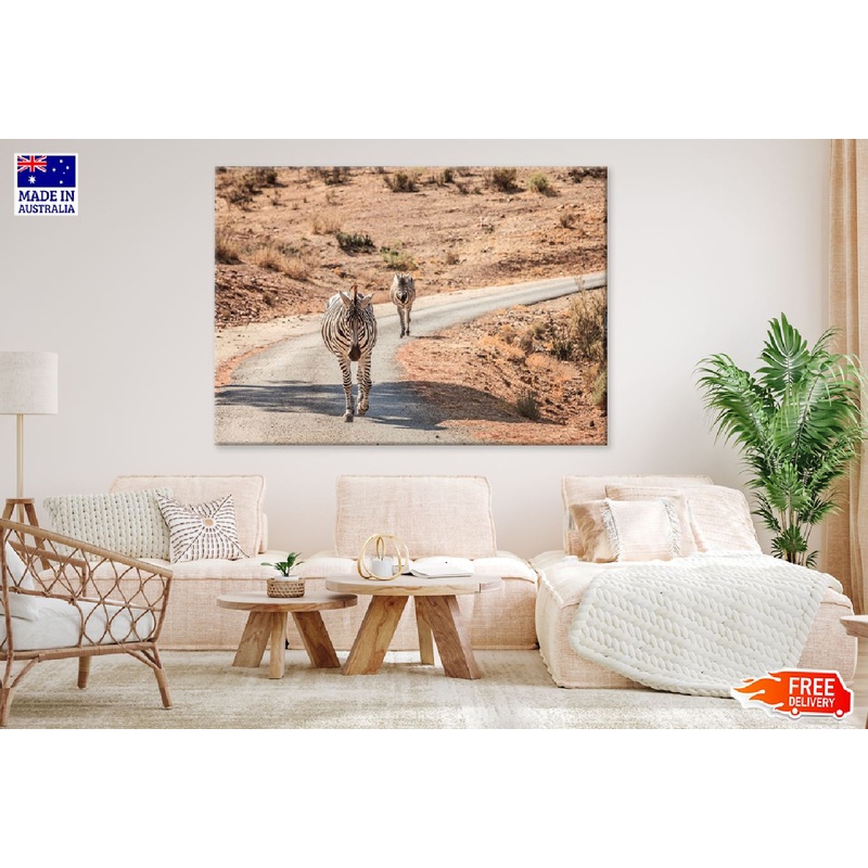Zebras Walking On Road Photograph Print 100% Australian Made