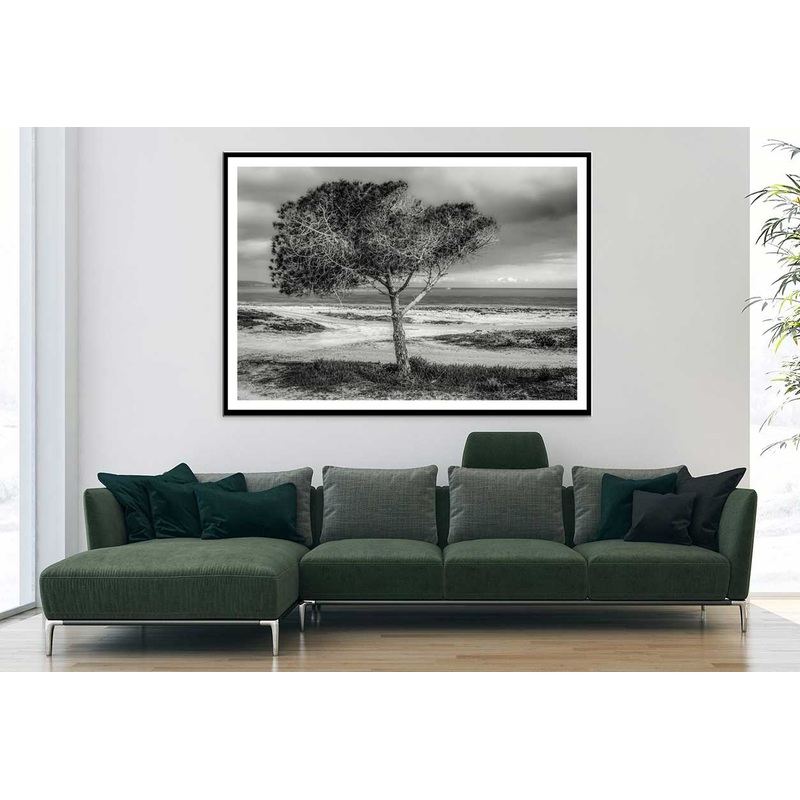Alone Tree near Seashore B&W View Photograph Home Decor Premium Quality Poster Print Choose Your Sizes