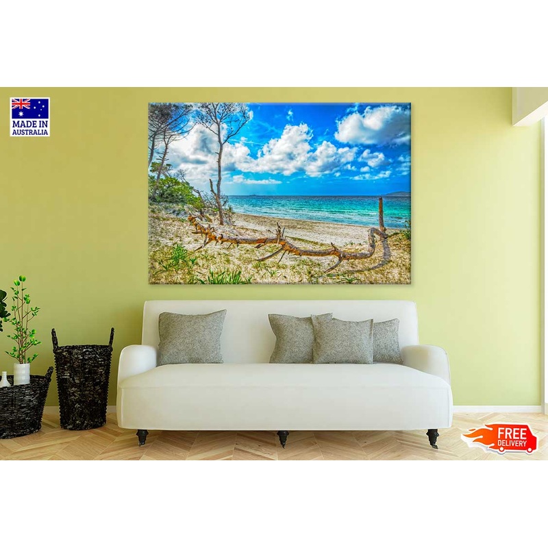 Tree Trunk in Maria Pia Beach Photograph Print 100% Australian Made