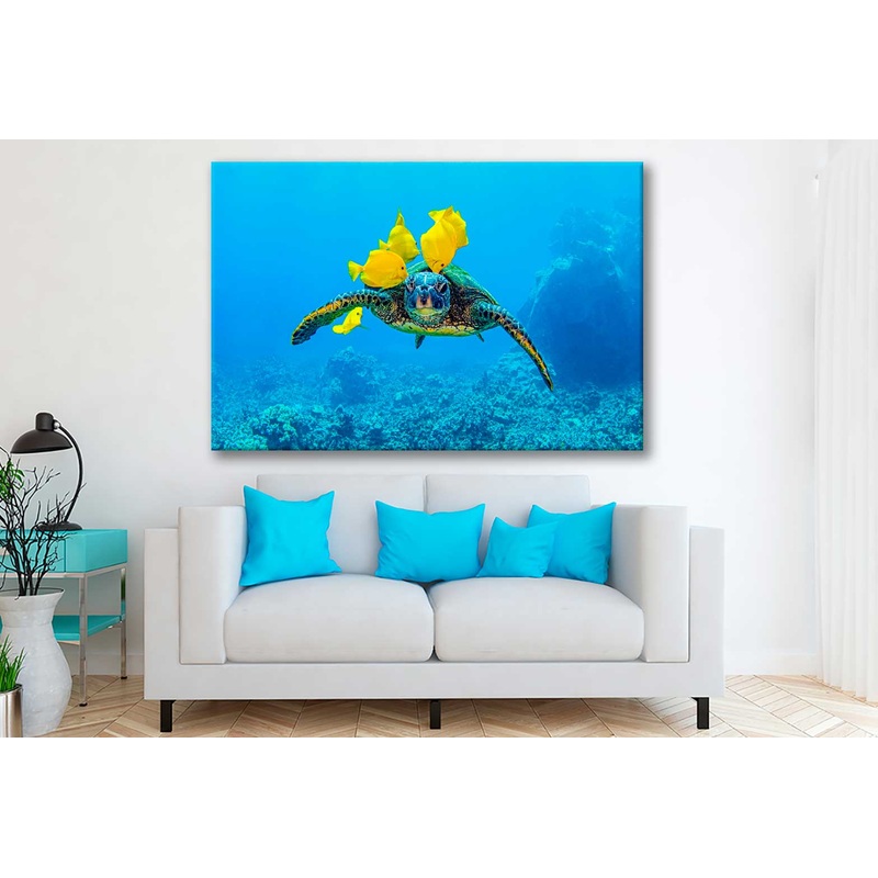 Bella Home Turtle with Yellow Coral Fish Print Canvas Ready to hang