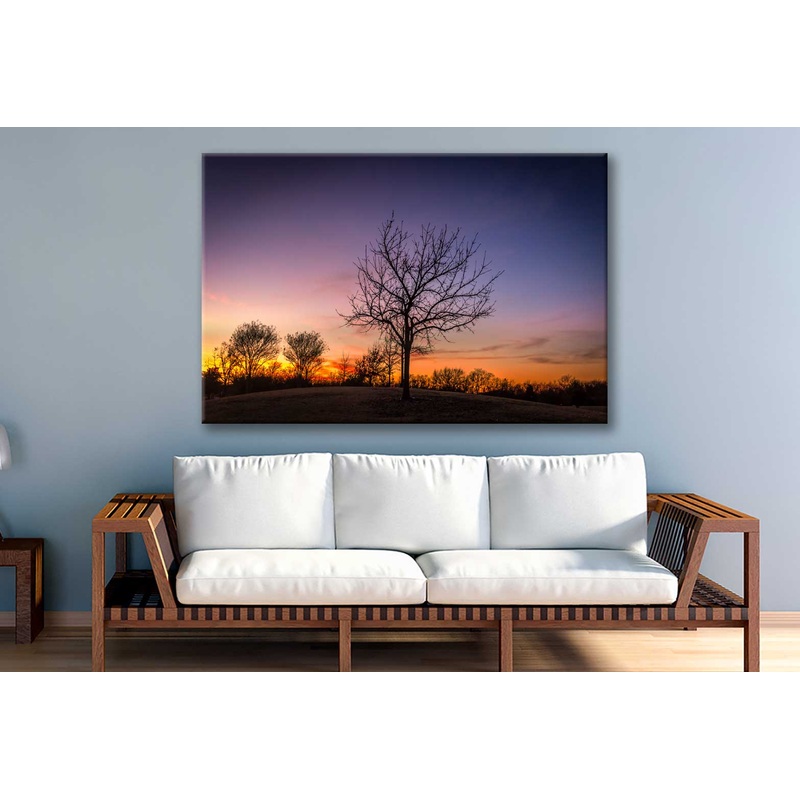 Bella Home Autumn Tree & Sunset View Texas Print Canvas Ready to hang