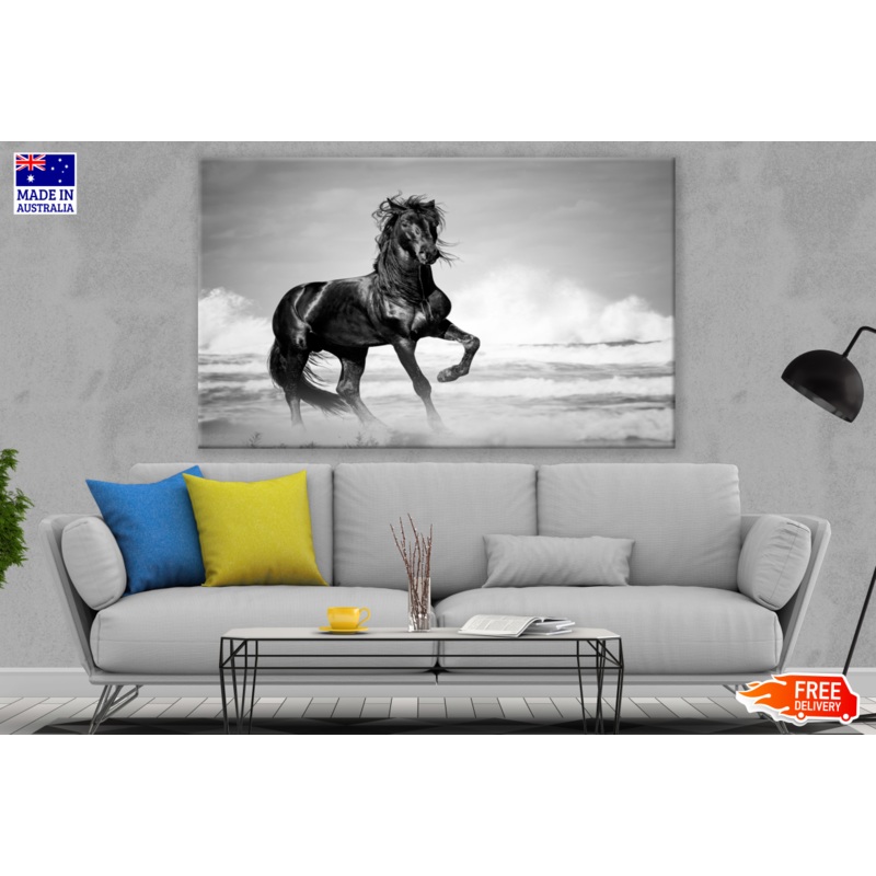 Black Horse Running Black & White Photograph Print 100% Australian Made