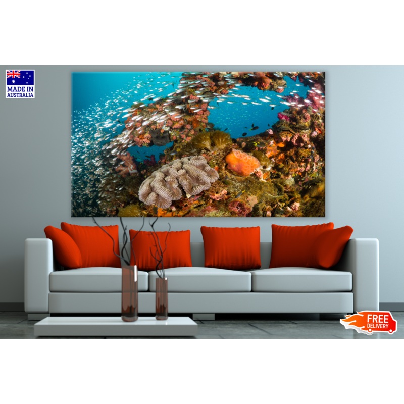 Underwater Fish & Corals Photograph Print 100% Australian Made