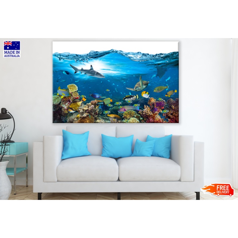 Underwater Marine Life Fish Corals & Sea Plants Photograph Print 100% Australian Made