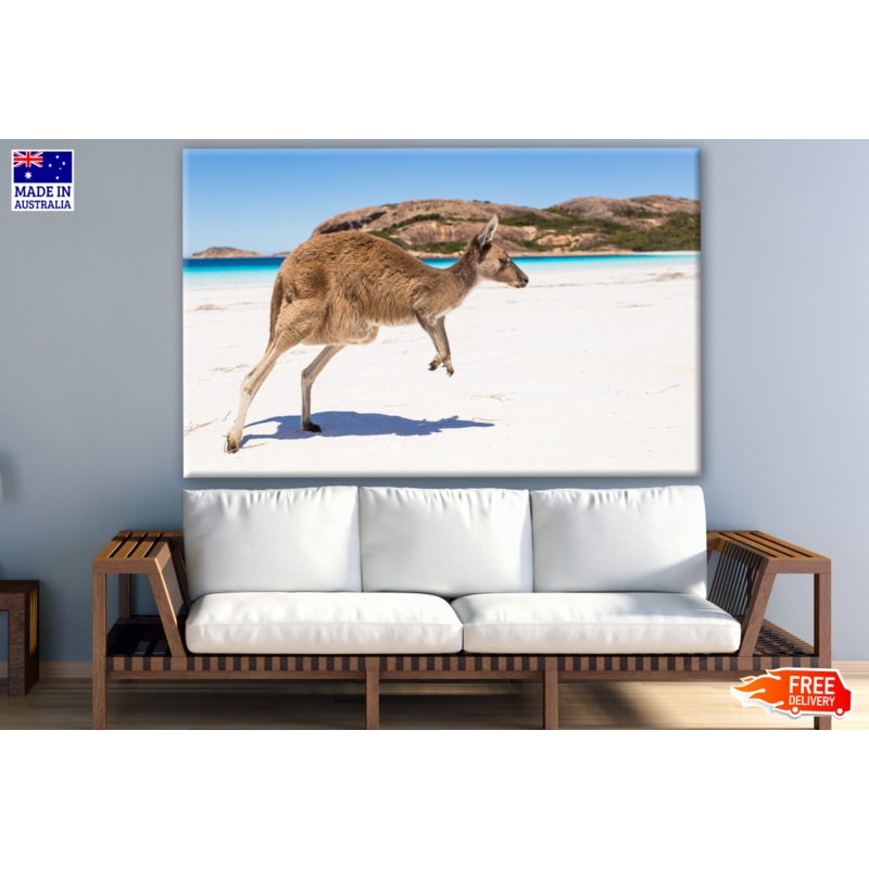 Australian Native Kangaroo on a Beach Photograph Print 100% Australian Made