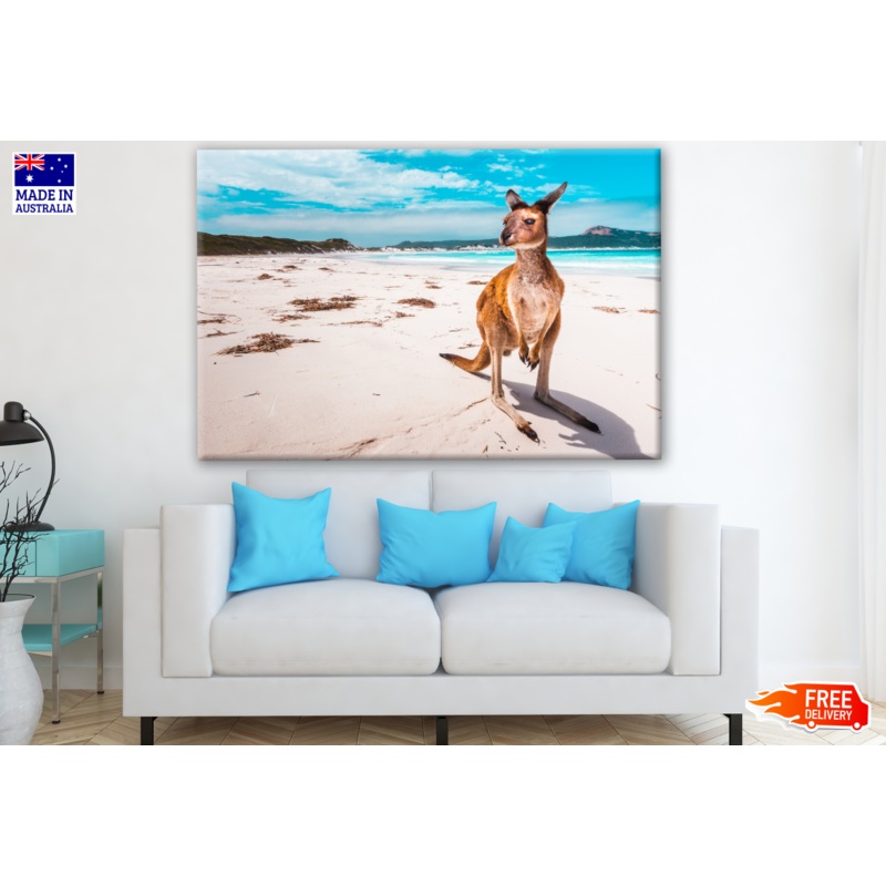 Australian Native Kangaroo on a Bright Beach Photograph Print 100% Australian Made