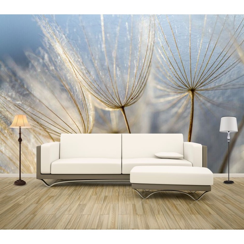 Wallpaper Murals Peel and Stick Removable Dandelion Flower Closeup High Quality