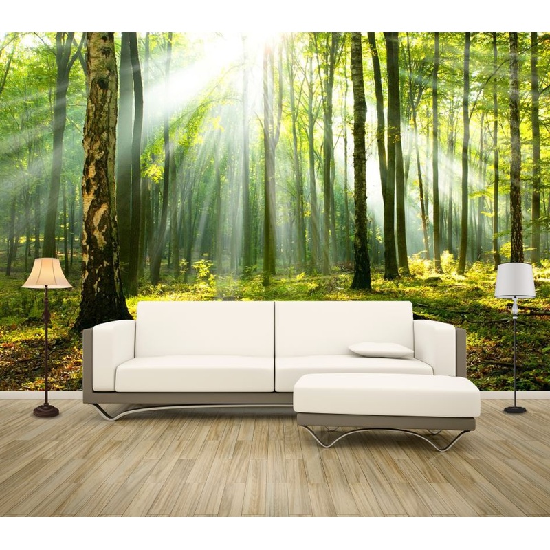 Wallpaper Murals Peel and Stick Removable Sunlight Through Trees In Forest High Quality