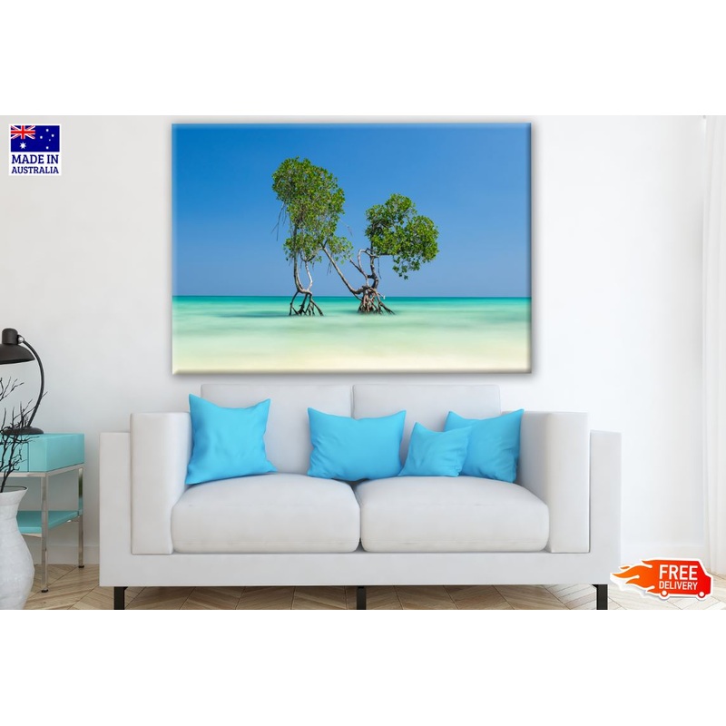 Tree in Beach Photograph Print 100% Australian Made