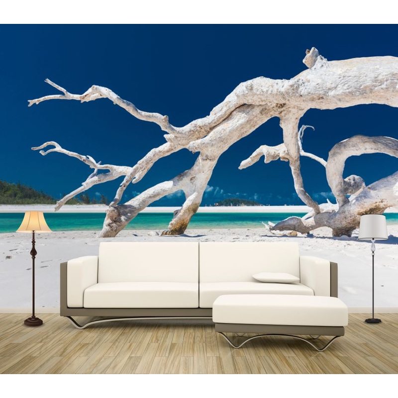 Wallpaper Murals Peel and Stick Removable Dead White Tree on Beach Photograph High Quality