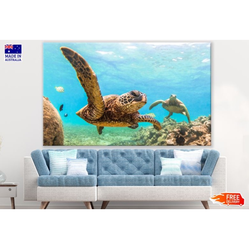 Turtles in Sea Photograph Print 100% Australian Made
