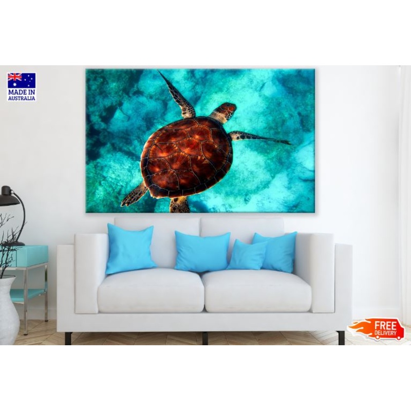 Turtle in Beach Photograph Print 100% Australian Made