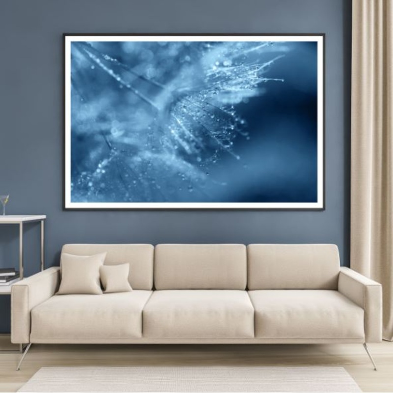Waterdrops on Dandelion Flowers Photograph Home Decor Premium Quality Poster Print Choose Your Sizes