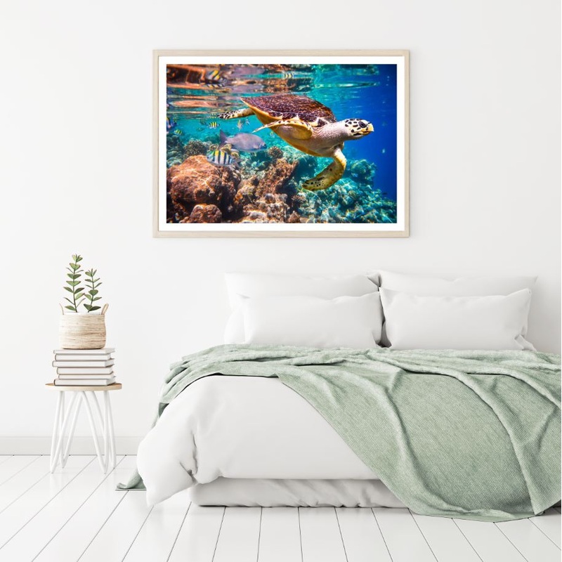 Turtle & Fish Under Sea Scenery Home Decor Premium Quality Poster Print Choose Your Sizes