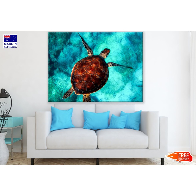 Turtle in Sea Aerial Photograph Print 100% Australian Made