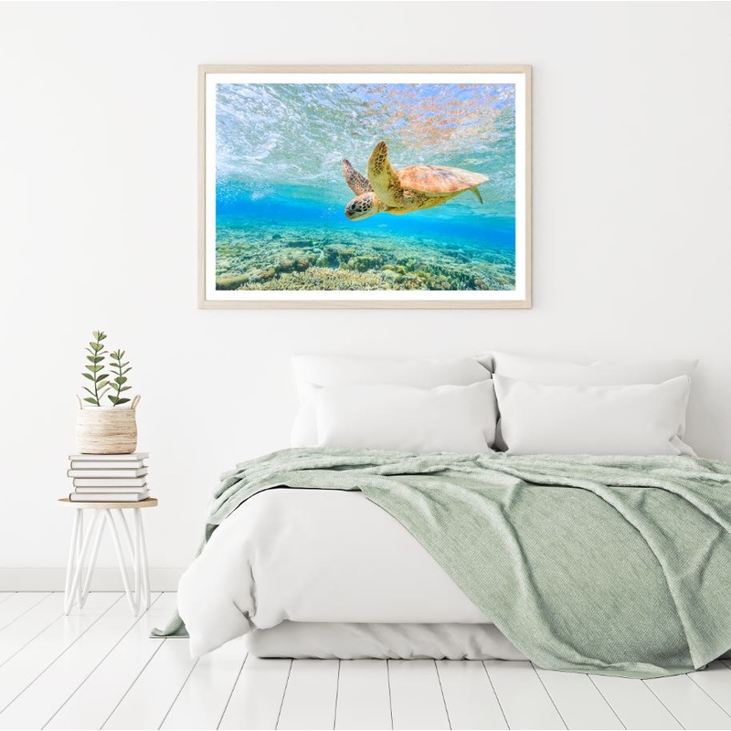 Turtle in Sea Photograph Home Decor Premium Quality Poster Print Choose Your Sizes