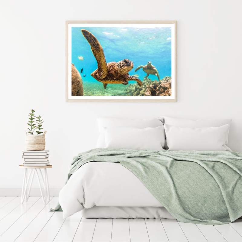 Turtles in Scenery Sea Photograph Home Decor Premium Quality Poster Print Choose Your Sizes